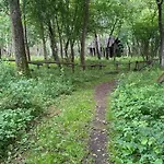 Holiday home Krecia Dolina - Kaszubskie Wzgorza Barkocin