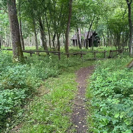 Vakantiehuis Krecia Dolina - Kaszubskie Wzgorza Barkocin