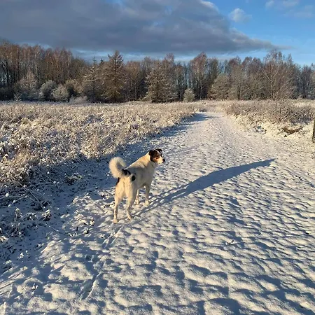 Krecia Dolina - Kaszubskie Wzgorza *