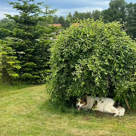 Сasa de vacaciones Krecia Dolina - Kaszubskie Wzgórza Barkocin