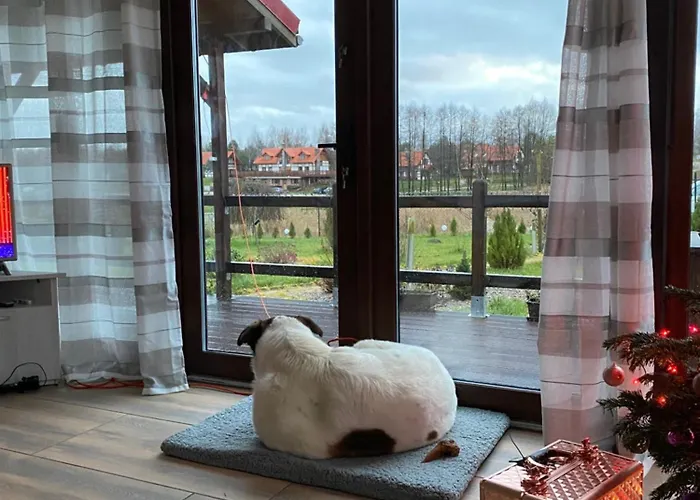 Дом отдыха Krecia Dolina - Kaszubskie Wzgorza *