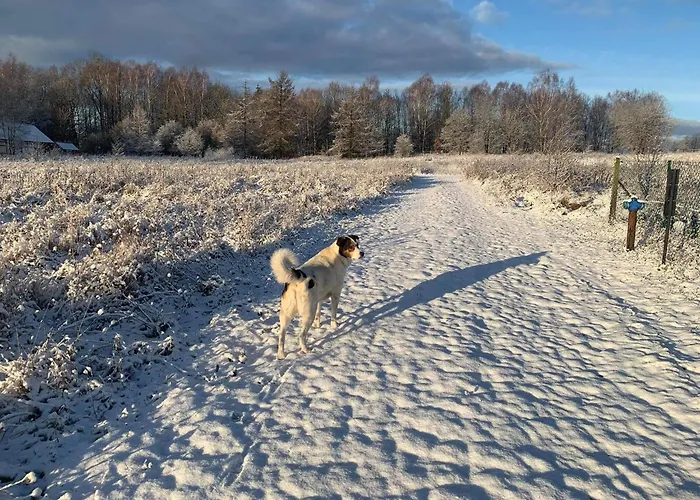 Krecia Dolina - Kaszubskie Wzgorza *