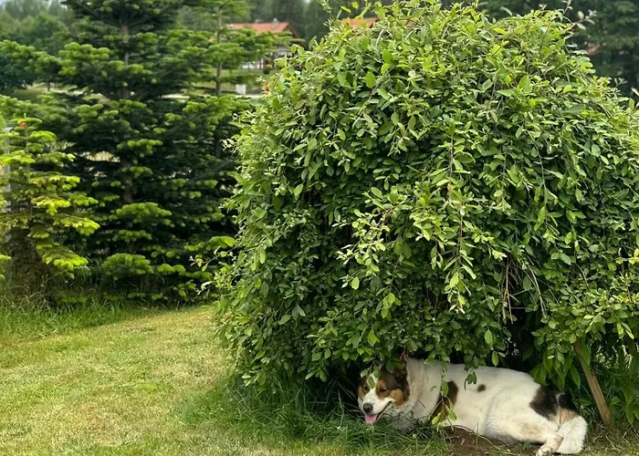 Дом отдыха Krecia Dolina - Kaszubskie Wzgorza Barkocin